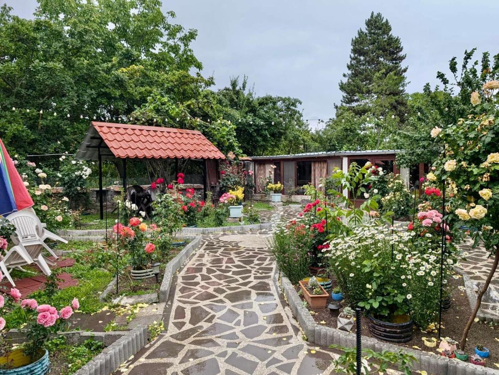 فندق Artist'S House Tetritskaro المظهر الخارجي الصورة